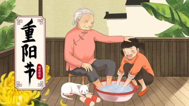 1698022416802890.png 5.png