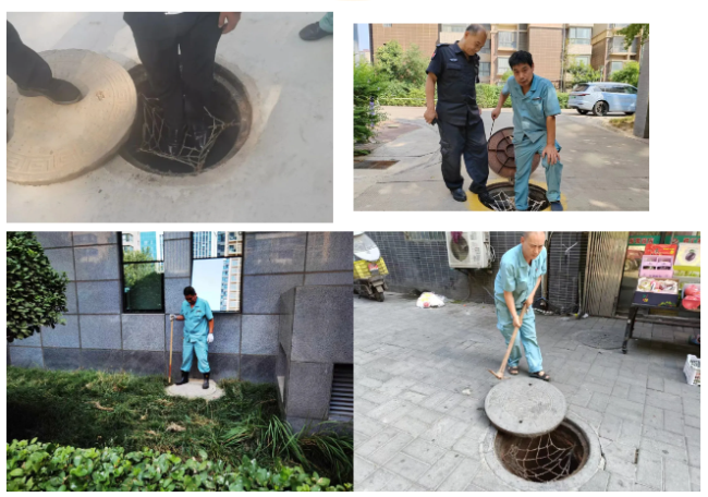 1727335962545024.png 2.png