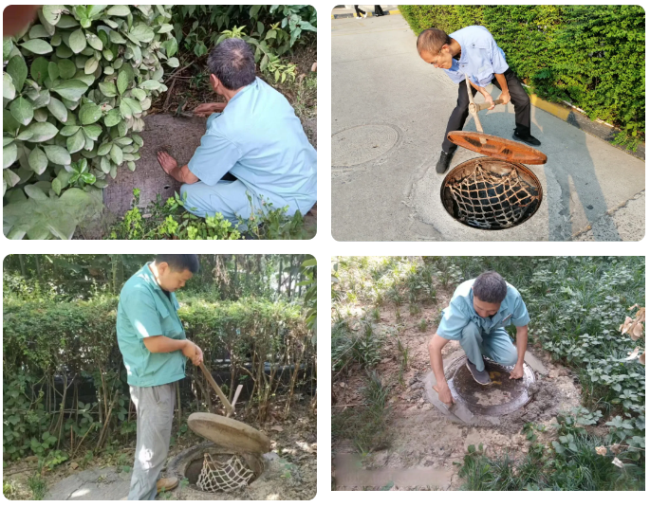 1727336021640951.png 4.png