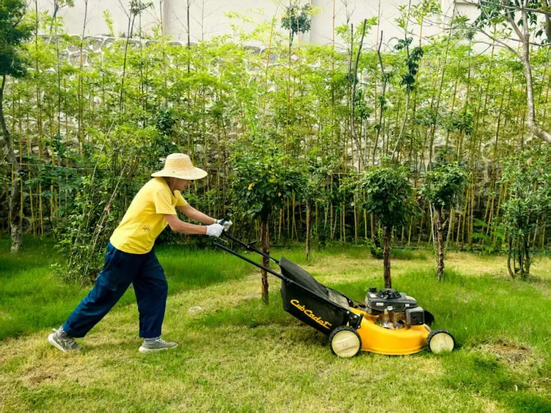 1759474807470709.jpg 1759474807470709.jpg