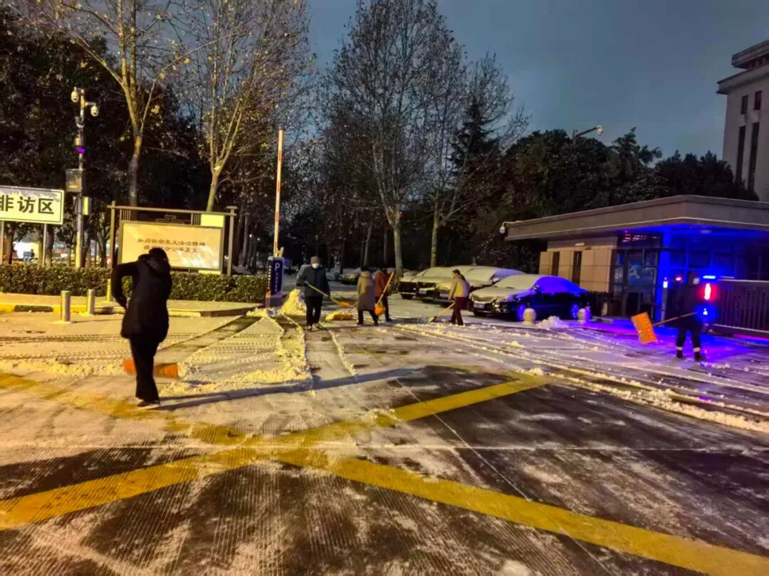 1769070423216334.jpg 1769070423216334.jpg