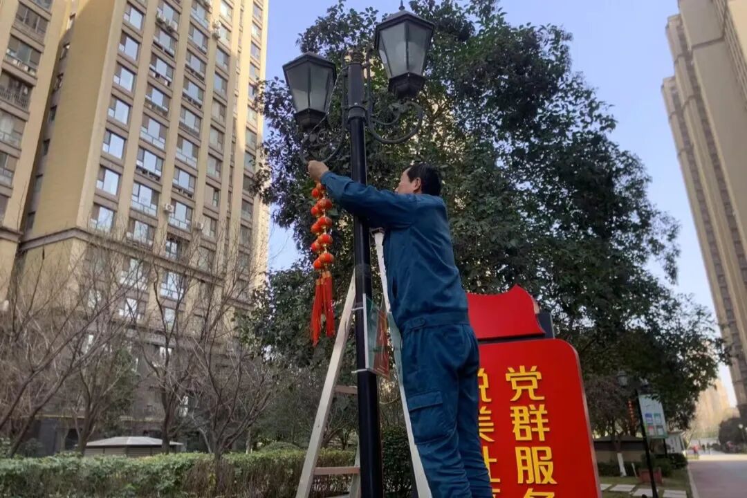 1771074464430769.jpg 1771074464430769.jpg