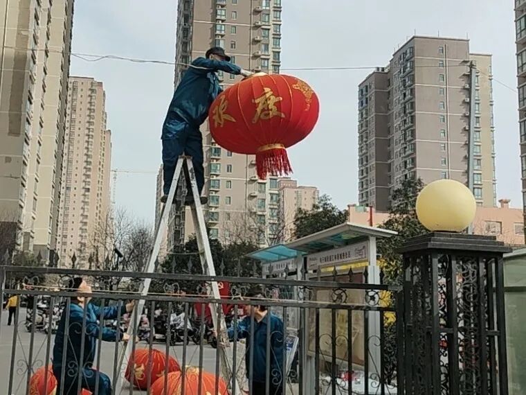 1771074725589508.jpg 1771074725589508.jpg