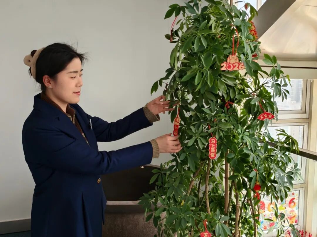 1771074810720670.jpg 1771074810720670.jpg