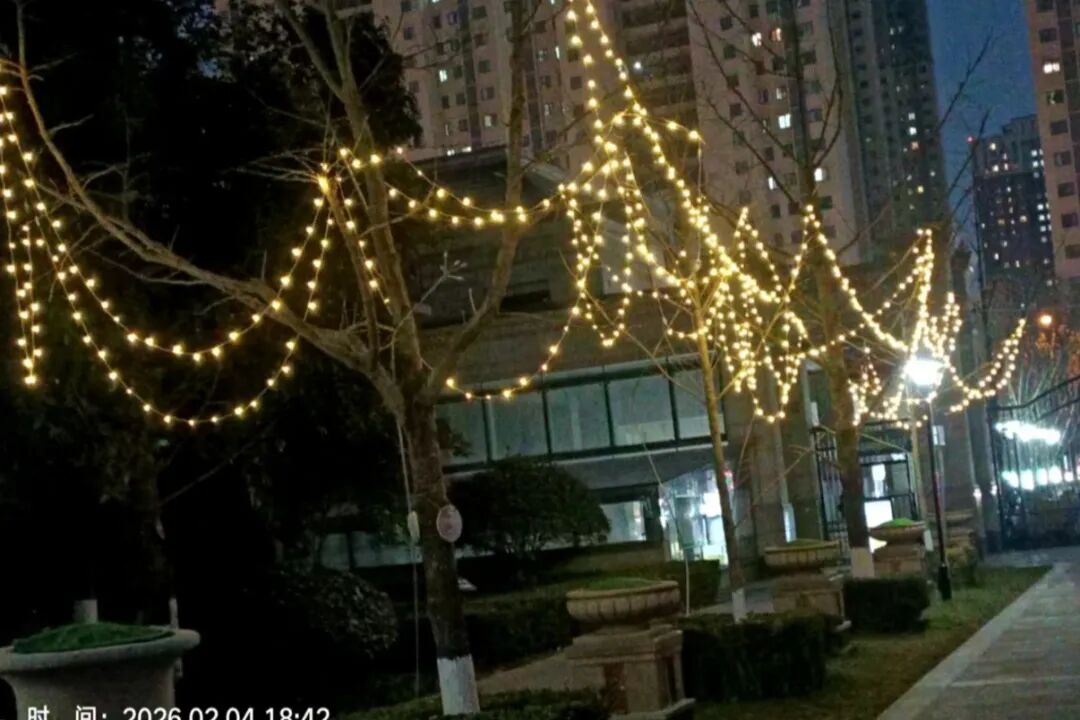 1771075055306253.jpg 1771075055306253.jpg